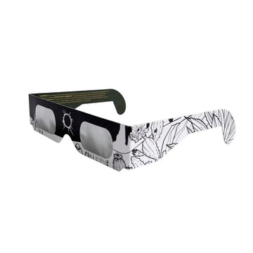 Desert Dreams: 10 Eclipse Glasses Kit *AAS Approved - ISO Certified Safe* - HALO ECLIPSE